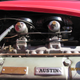 Illustration for article titled Austin Healey Dump
